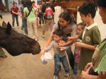 Horse feeding (Monica's children)