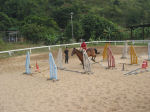 Horsemanship- hopping 3