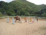 Horsemanship- hopping 5